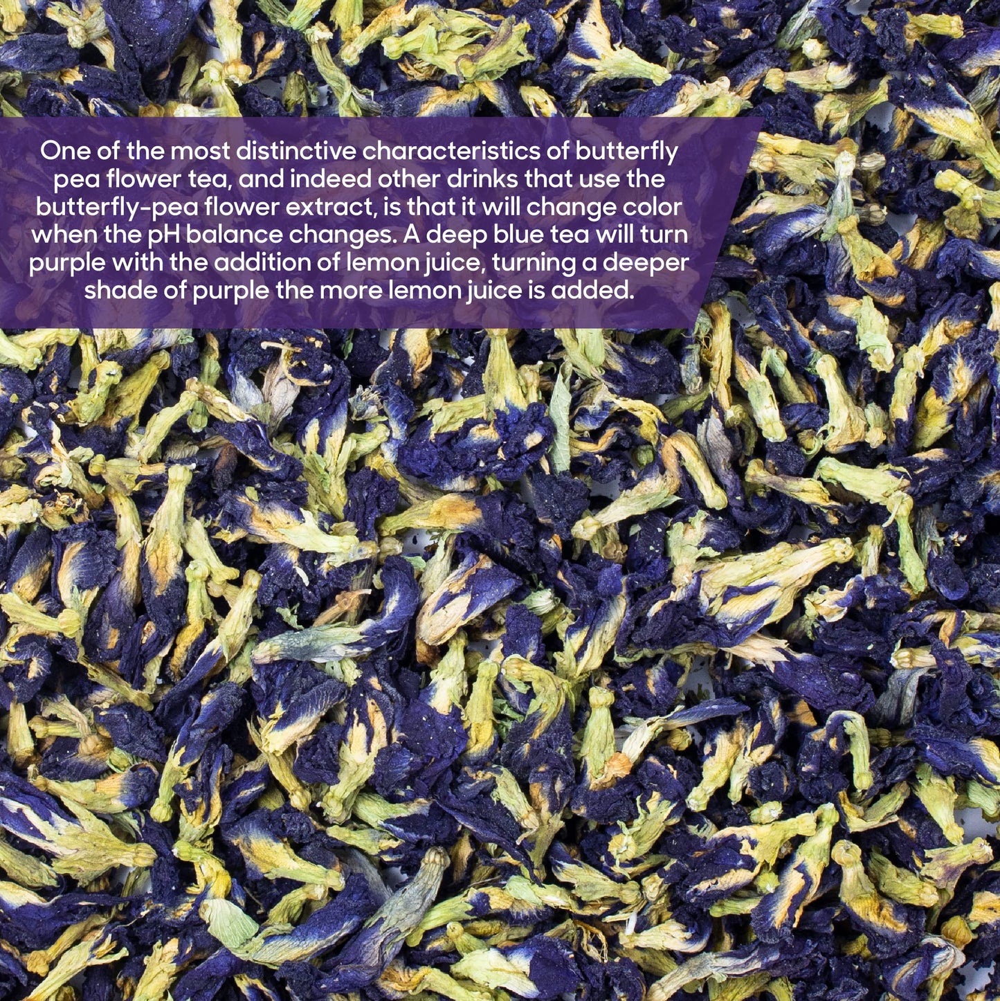 La Terra Premium Dried Blue Butterfly Pea Flower 35 OZ 100 Raw with No Fillers or Additives Gluten Dairy Caffeine Sugar Free Vegan Keto Friendly Hot and Cold Beverages