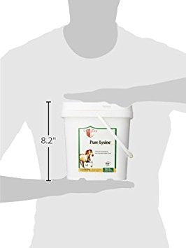 Vita Flex Pure Lysine, 151 Day Supply, 4 lbs