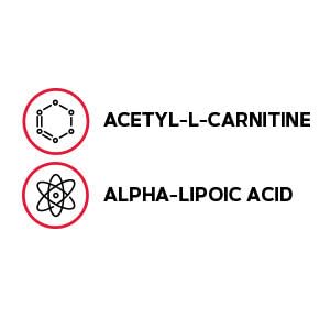 GNC Acetyl-L-Carnitine Alpha-Lipoic Acid 500mg / 200mg | Supports Positive Mood Balance | 60 Count