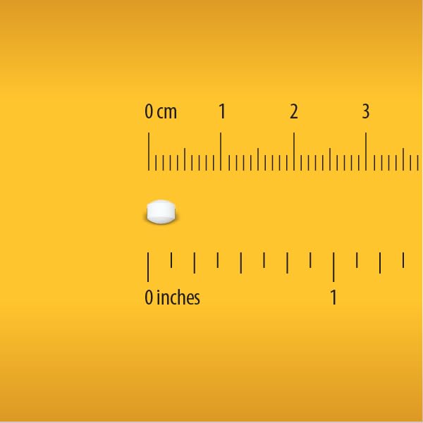 Globe Electrolyte Replacement Tablets for Rehydration, Exercise Recovery, Youth & Adult Athletes, Hiking, Camping, & Sports Recovery and More... 50 Packets of 2 Tablets Each, 100 Count