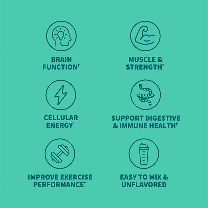 Garden of Life Creatine Monohydrate Powder for Women and Men, Micronized Pre Workout with Probiotics for Muscle, Strength, Performance, Sport Amino Energy, About 60 Easy to Mix Unflavored Servings