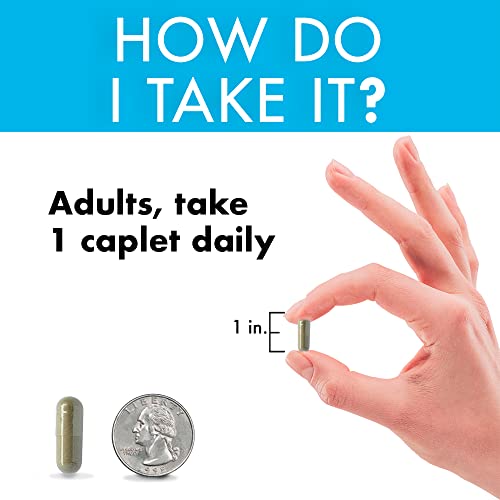Yes You Can! Appetite Support for Body Weight Management - Healthy Relationship with Food - Includes Natural Ingredients: 5-HTP, Lemon Balm, Chamomile Extract - 30 Capsules, 4 Pack