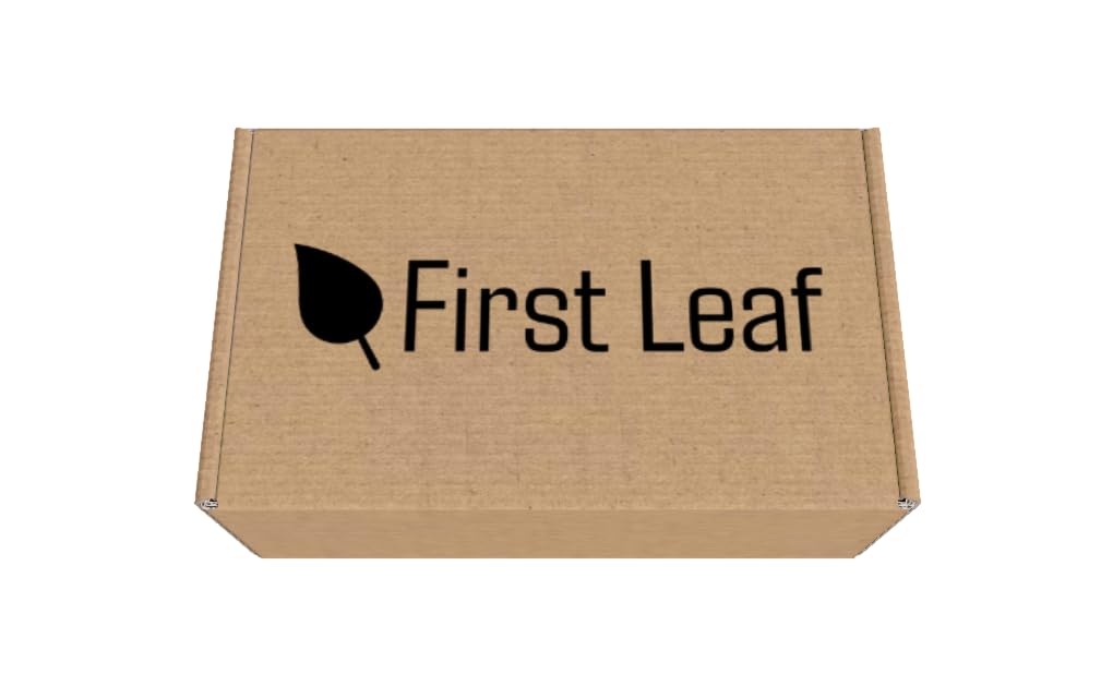 First Leaf G Zero Powder Packets with Electrolytes, Vitamins and No Sugar, 20 Count (Pack of 2) (20 Packets, Grape)