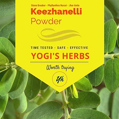 YOGIS HERBS Keezhanelli Powder (Phyllanthus Niruri) | Chanca Piedra Stone Breaker - Liver, Kidney & Gallbladder Support- Fresh & Pure Herbal Supplement (3.5 oz)