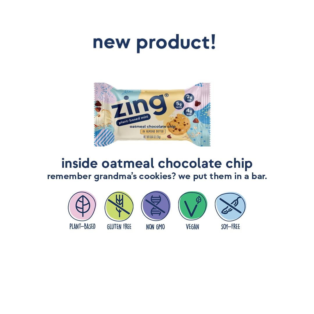 Zing Oatmeal Chocolate Chip Kids Protein Bars, Gluten Free 100 Calorie Mini Bars with High Protein, Vegan Nutrition Bars, Dairy Free Plant Based Protein, Low Sugar, No Sugar Alcohols - 18 count