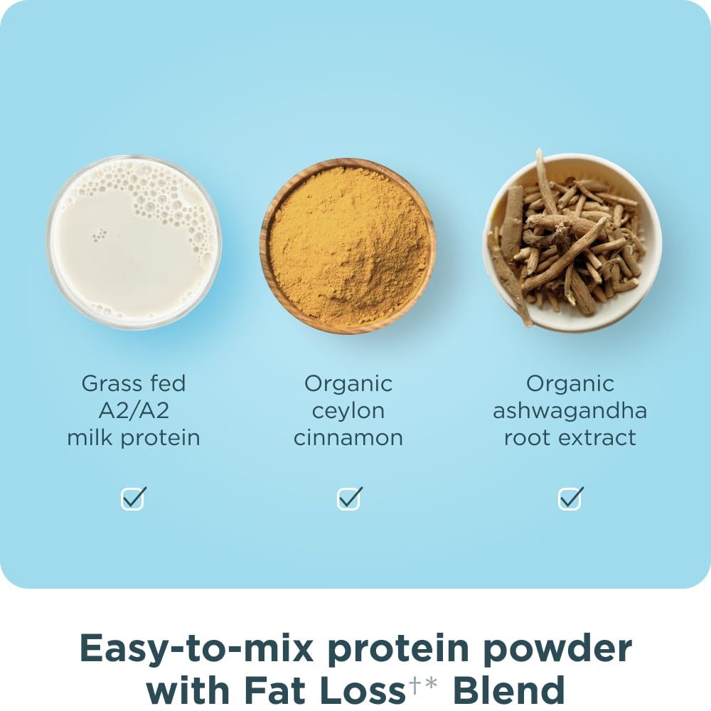 Ancient Nutrition Grass Fed Whey Protein + Fat Loss Blend, Vanilla Cinnamon, 23g Protein, Promotes Fat Loss and Boost Metabolism, Organic Regenerative A2/A2 Milk Protein,18 Servings