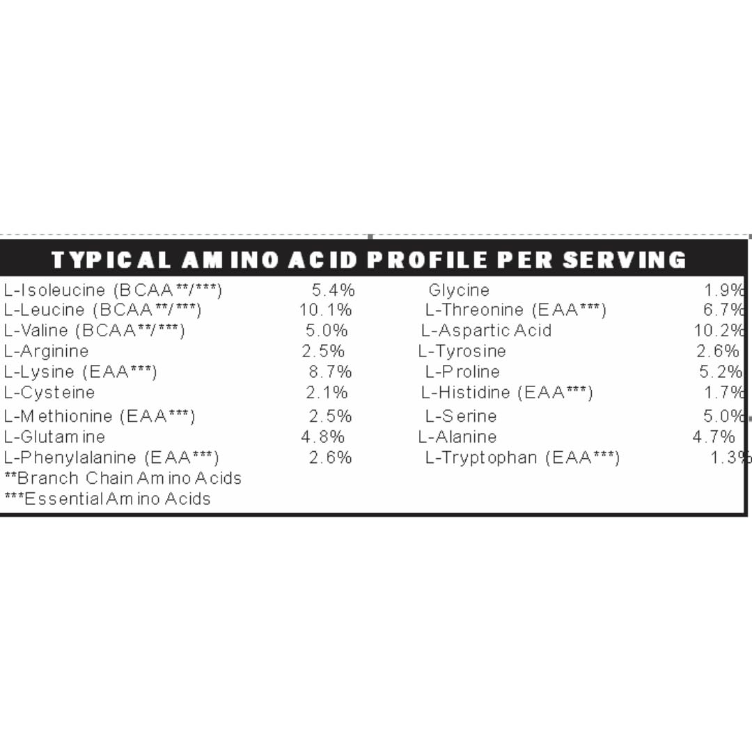 Low FODMAP Elemental Diet Protein Powder GLP1 IBS & SIBO Keto Paleo|ProHydrolase Digestive Enzymes|Gluten Soy Sugar & Grain Free|Low Carb Whey Protein Isolate (WPI) Gut Friendly All Natural Vanilla