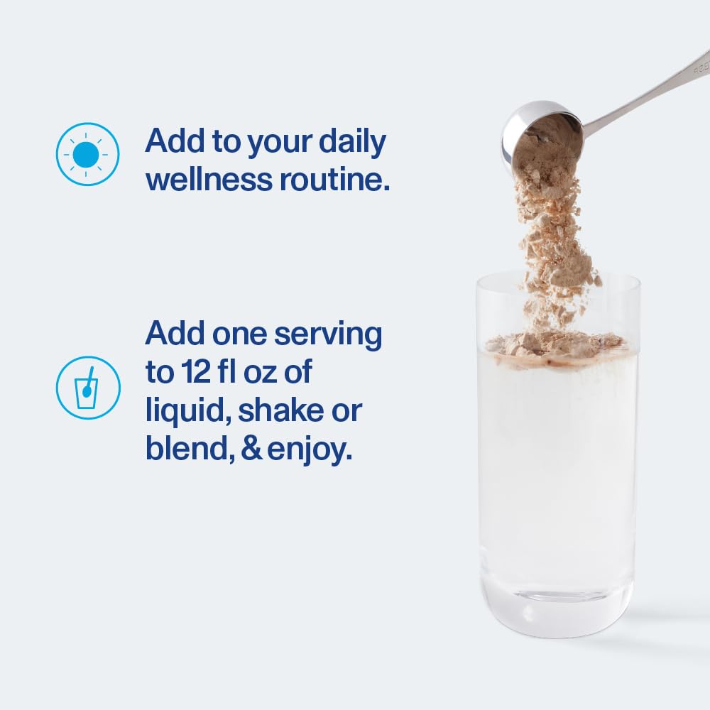 Vital Proteins Protein Powder - 20g Plant Based Protein with Chickpea - 1B CFU Probiotic for Gut Health, No Added Sugar - Chocolate, 16.5 oz