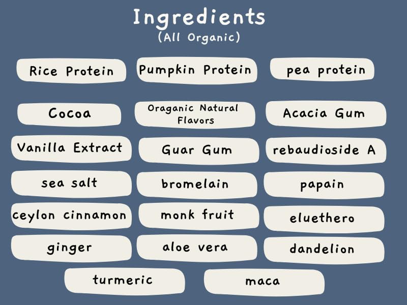 Oranga Organic Vegan - Tri-Blend Plant Based Protein Powder - No Additives, Dairy-Free, Soy-Free, Keto-Friendly, Gluten-Free, Non-GMO - 17 Servings (442g) (Large, Chocolate)