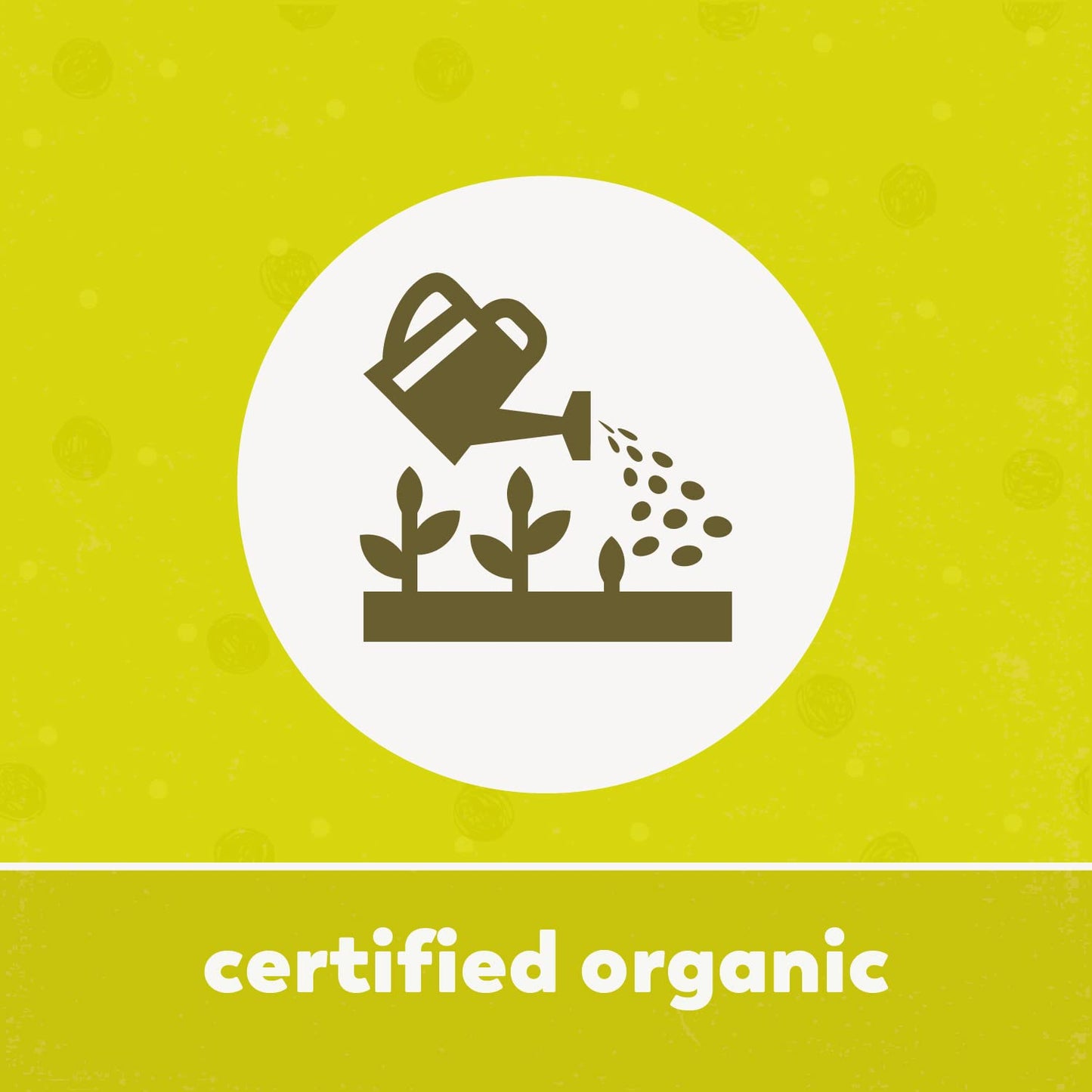 Yupik Organic Raw Cashew Pieces 22 lb GlutenFree Kosher NonGMO Vegan Chopped Nuts Unsalted Unroasted OilFree Crunchy Cashews Nut Topping  Inclusion Ideal for Baking  Cooking