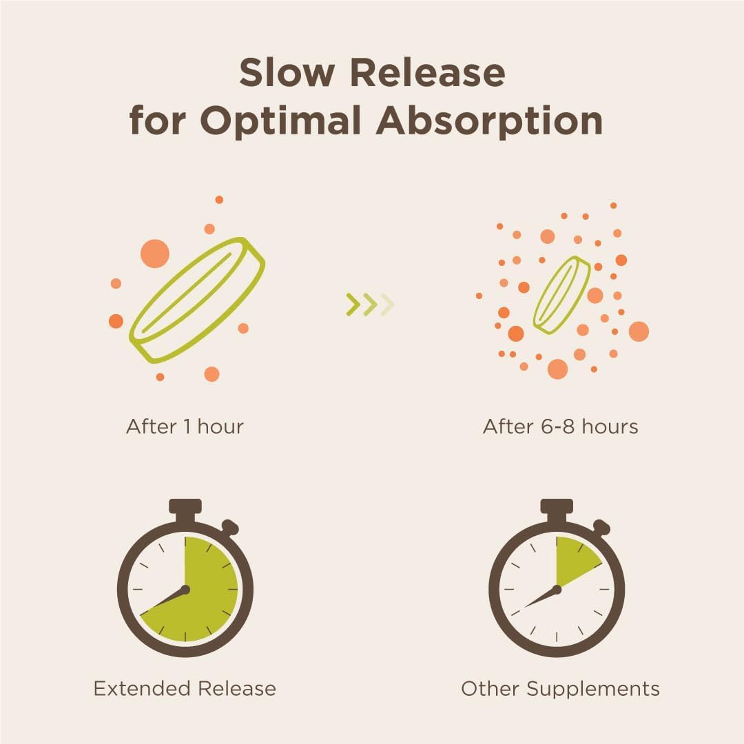 Endurance Products Electrolyte SR - Sustained Release Electrolyte for Optimal Hydration - 60 Tablets - Zero Sugar & Calories, Non-GMO, Vegan, Gluten Free - Muscle Recovery, Energy