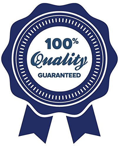 Sport Supplements Best Creatine Powder - Creatine Powder 100mg - Creatine Powder to Increase Energy and Stamina (1 Bottle)