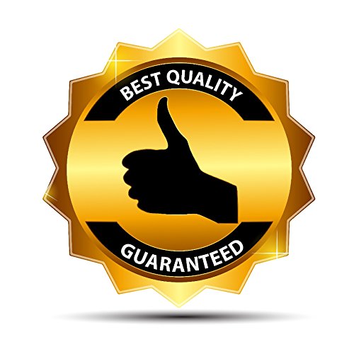 Lysine Capsules Organic - L-LYSINE 1000MG - Boost Immune System - l-lysine capsules - lysine supplement - immune support - immune support vitamins - vitamins for immune system support - 3 Bottles