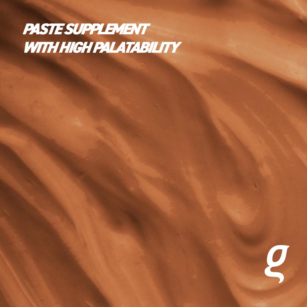 D-Nitrox Equine Athletic Performance Supplement - Pre-Competition Formula with Arginine and Taurine - Enhances Muscle Oxygenation and Performance - 2.64 Fl oz