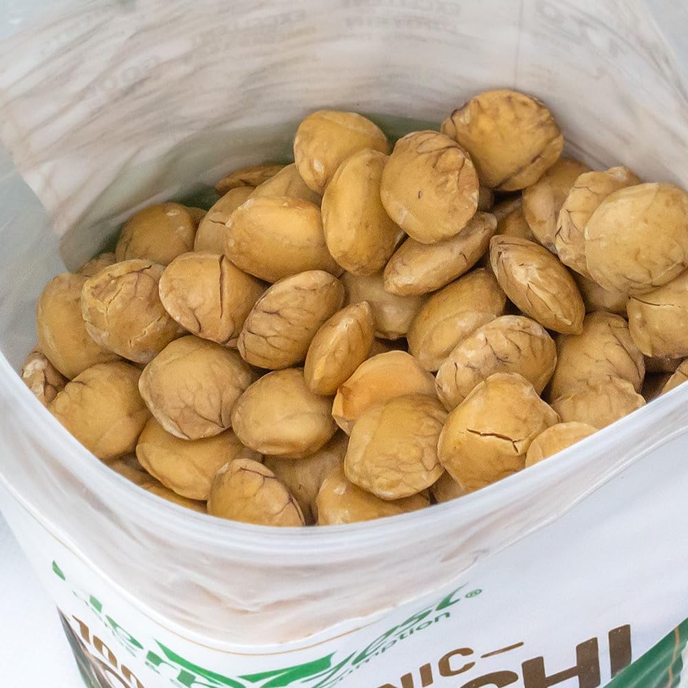 HerbaZest Sacha Inchi Seeds 2 LB  USDA Certified Organic  Vegan NonGMO  GlutenFree  Perfect for Snacks Baked  NonBaked Goods