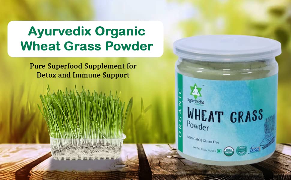 ayurvedix Organic Wheat Grass Powder - Pure Superfood Supplement for Detox and Immune Support - 100 Grams Pack of 1
