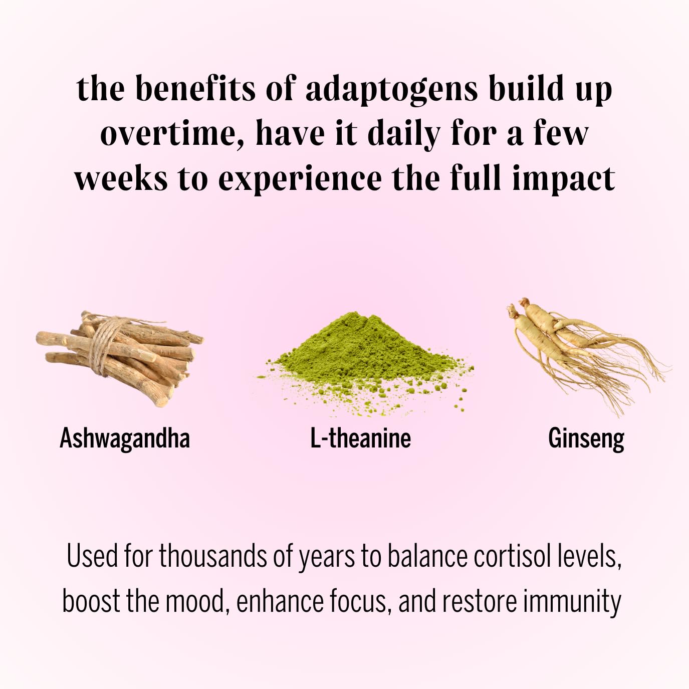 Moment Adaptogen Drink Shark Tank  Sparkling Combo Variety new Contains LTheanine Ashwagandha  Ginseng for Focus  Stress Relief 0 Added Sugar 1520 Calories Alcohol  Caffeine Free No