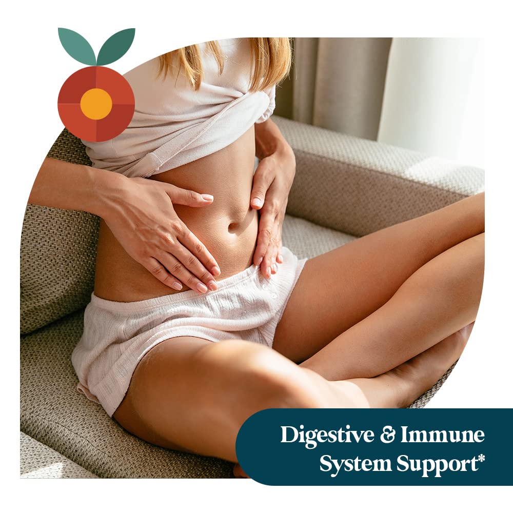 Pattern Wellness Gut Support Microbiome Complete Supplement - Gut Repair & Digestive Support - Whole Body Vegan Health - 3rd Party Lab Tested - 30 Non-GMO Capsules