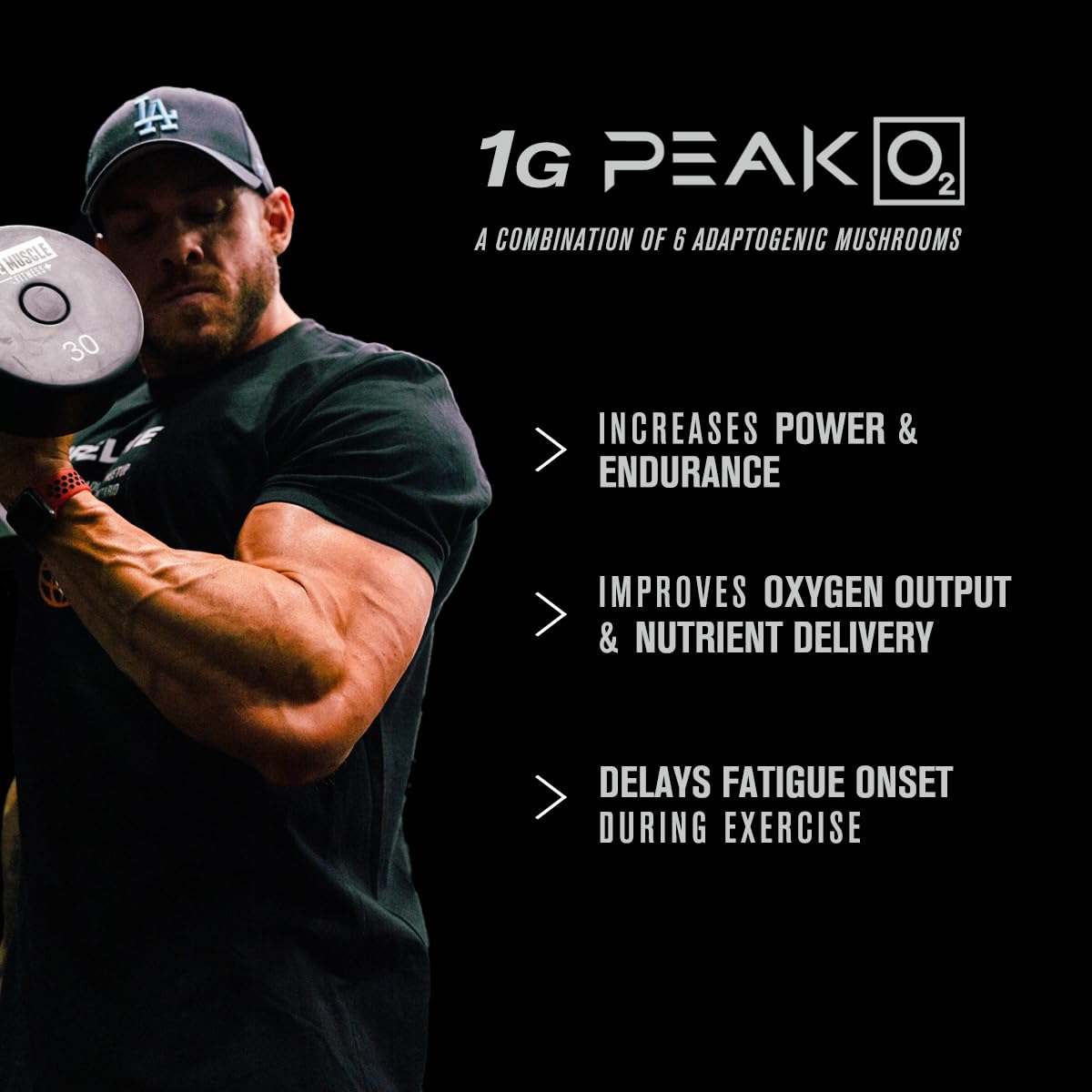 Jacked Factory Build-XT Daily Muscle Builder & Performance Enhancer - Muscle Building Supplement for Muscular Strength & Growth | Trademarked Ingredients Peak02, ElevATP, & Astragin - 60 Veggie Pills