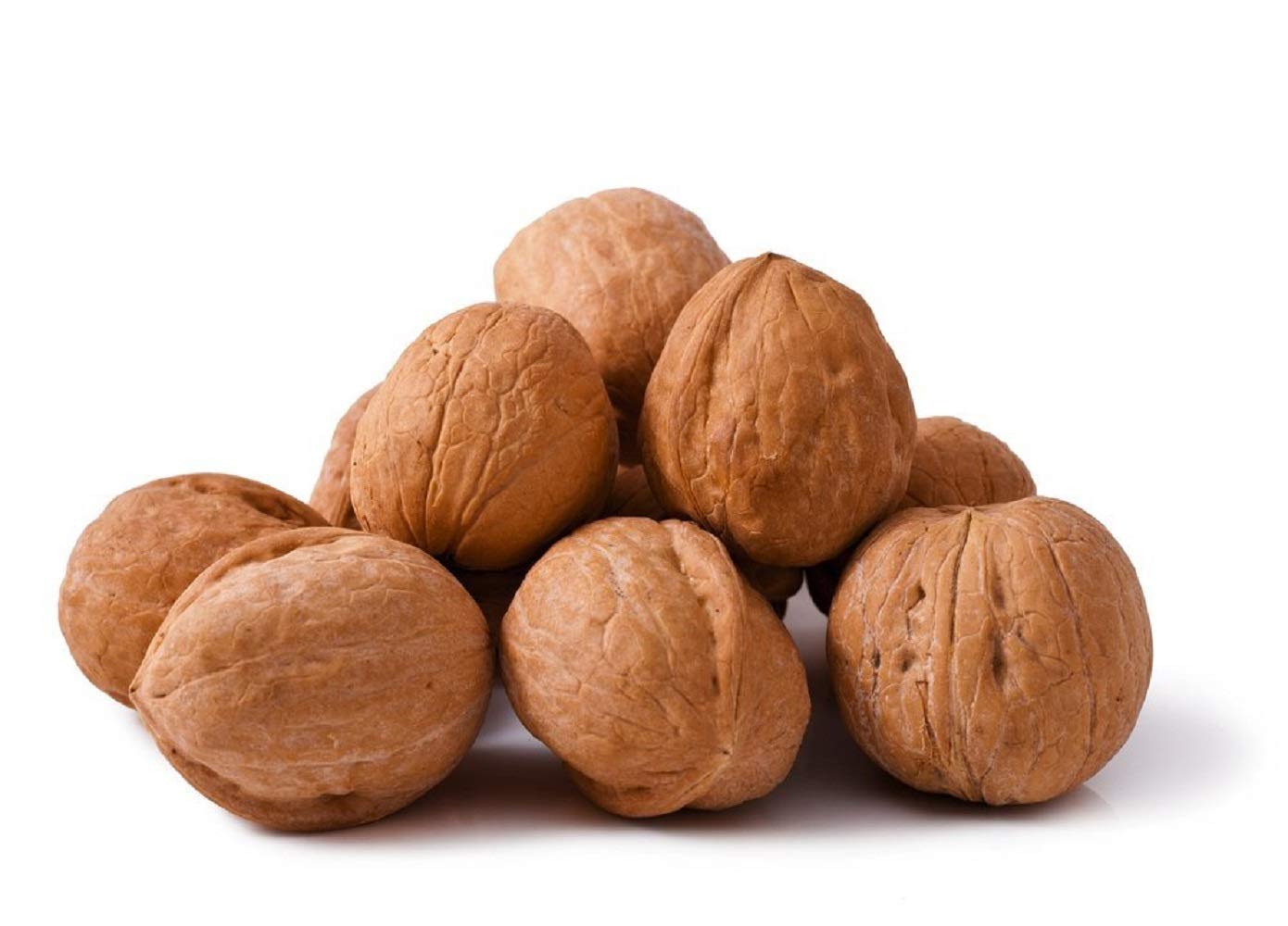 In Shell Walnuts 2 Lbs  Large Natural California Walnuts  Great Source of Omega 3  Fresh New Crop  Bursting with Flavor  Farm Fresh Nuts Brand