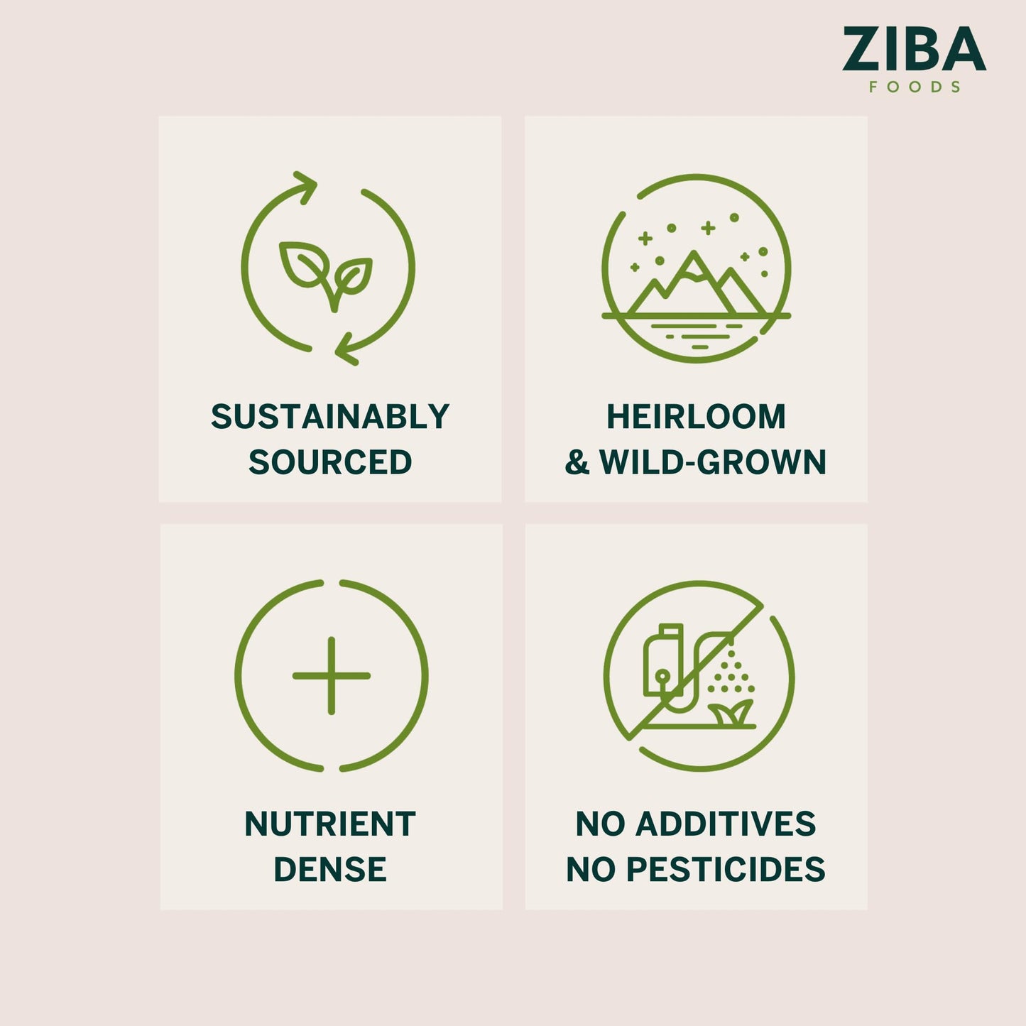 Ziba Foods Wild Grown Dried Mulberries  NonGMO Vegan Whole 30 Friendly  Paleo White Mulberry Dried Fruit Pack  Wild Grown Superfood Naturally High In Immune Boosting Antioxidants 53 oz