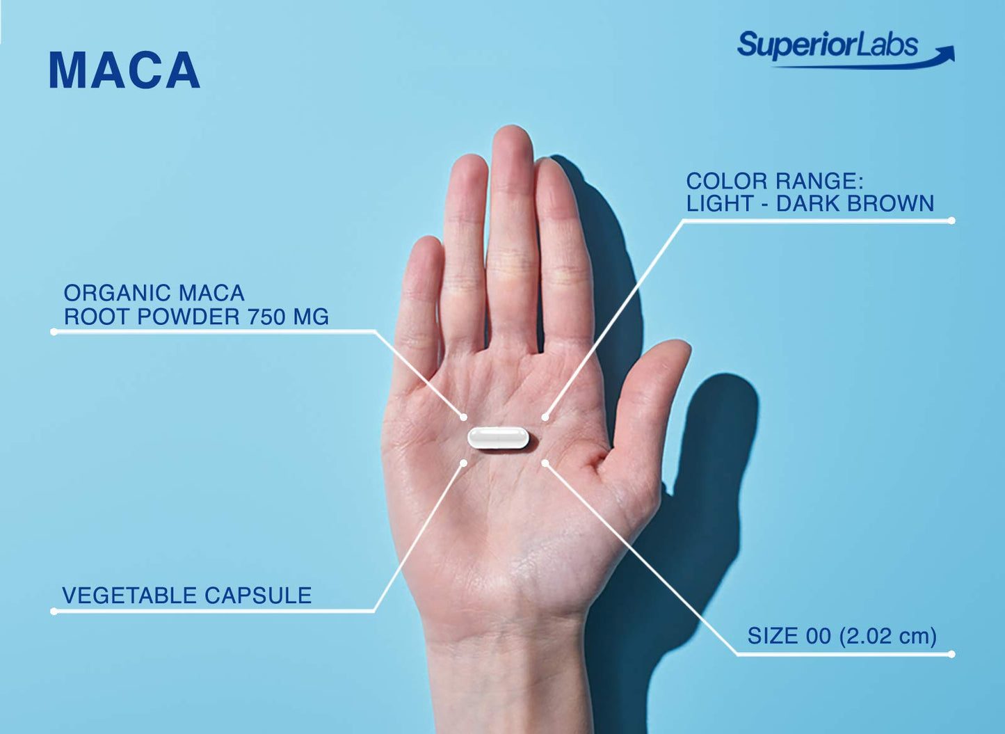 Superior Labs - Organic Peruvian Maca - 100% Pure NonGMO - Dietary Supplement for Calming and Relaxation - Zero Synthetic Additives, Stearates, Dioxides - 750mg, 120 Vegetable Capsules