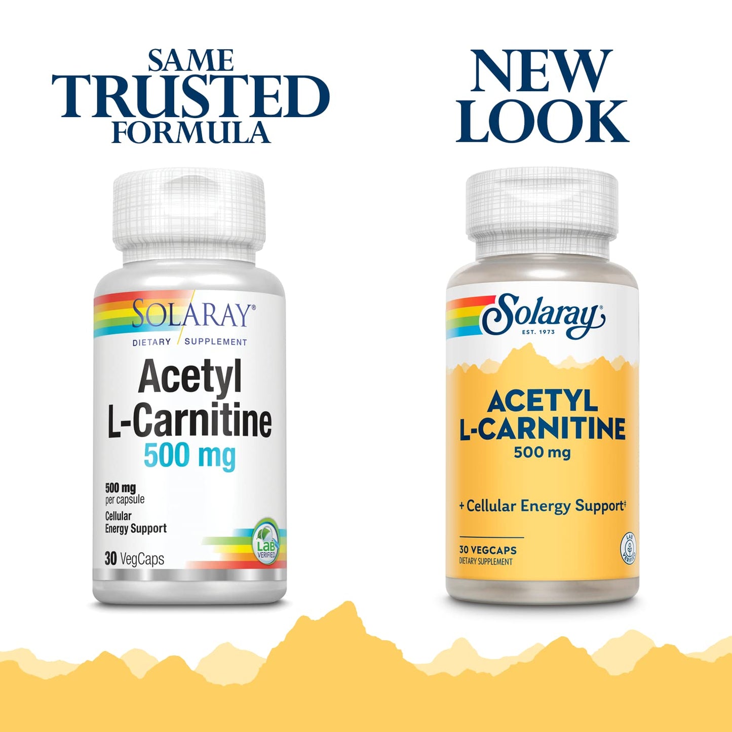 SOLARAY Acetyl L-Carnitine 500 mg | Healthy Cellular Energy, Memory, Mood, and Cardiovascular Support | 30 VegCaps