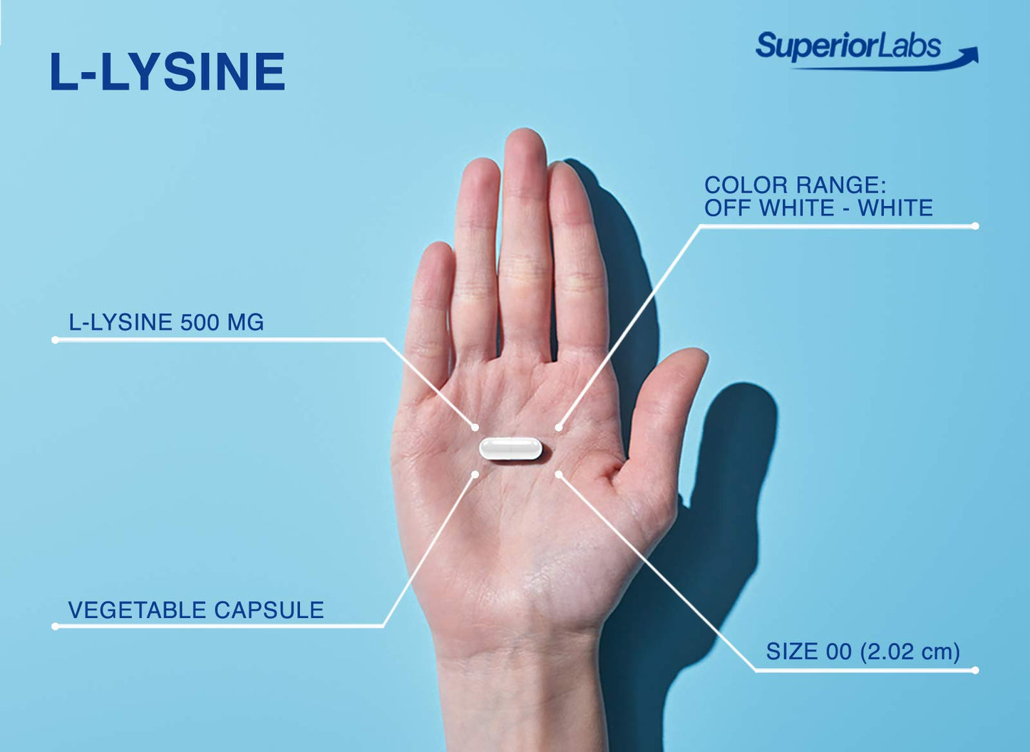 Superior Labs - Best L-Lysine NonGMO - Dietary Supplement -500 mg Pure Active L-Lysine - 120 Vegetable Capsules - Supports Calcium Absorption - Immune System & Respiratory Health Support