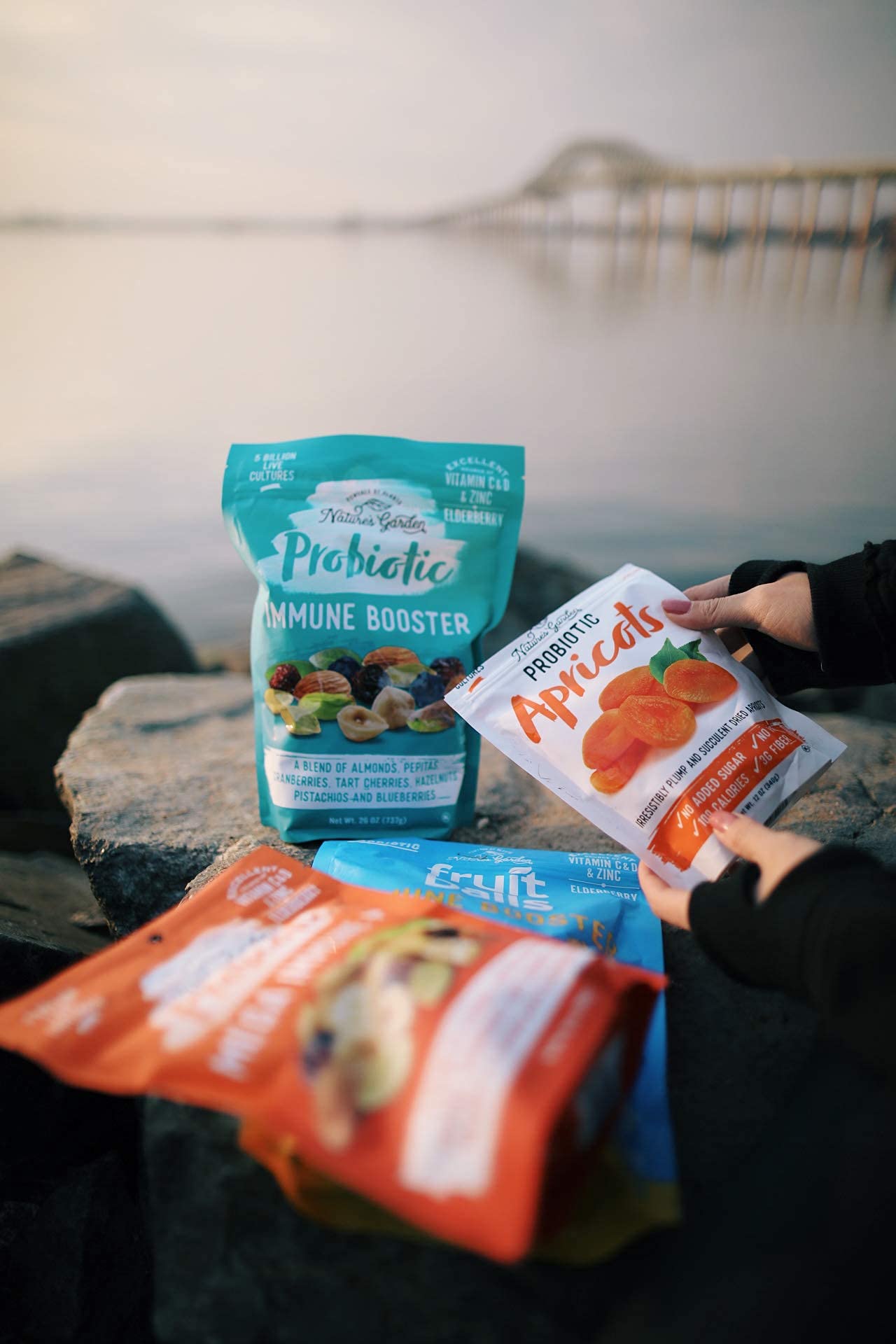 Natures Garden Probiotic Apricots  Probiotic Dried Fruit Plump Dried Apricots No Added Sugar GlutenFree DairyFree Vegan  Bulk 40 Oz Bag Pack of 2