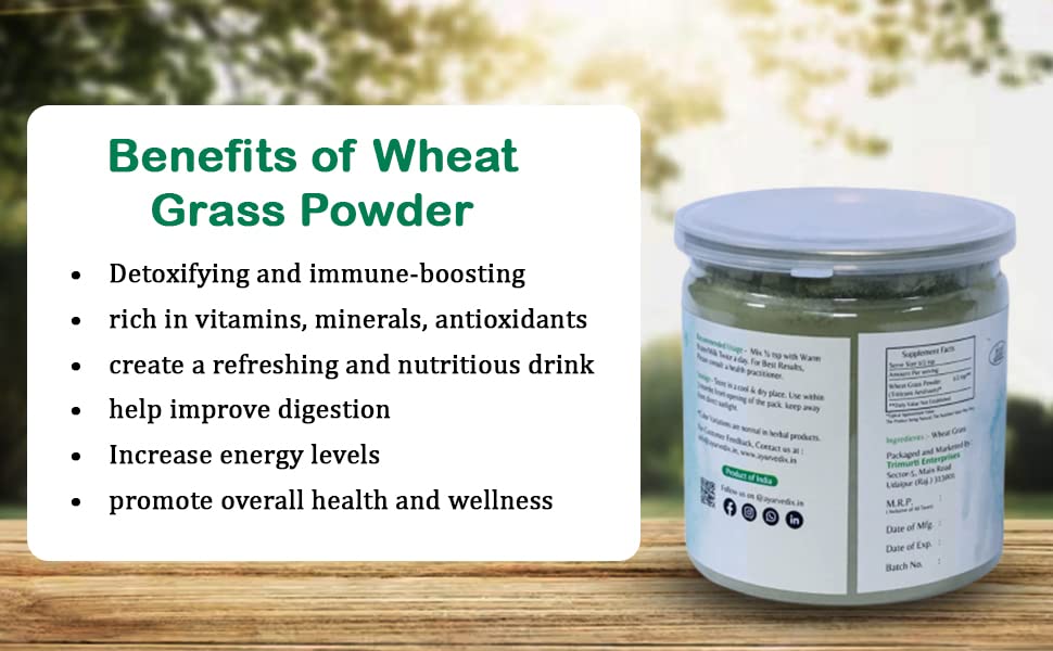 ayurvedix Organic Wheat Grass Powder - Pure Superfood Supplement for Detox and Immune Support - 100 Grams Pack of 1