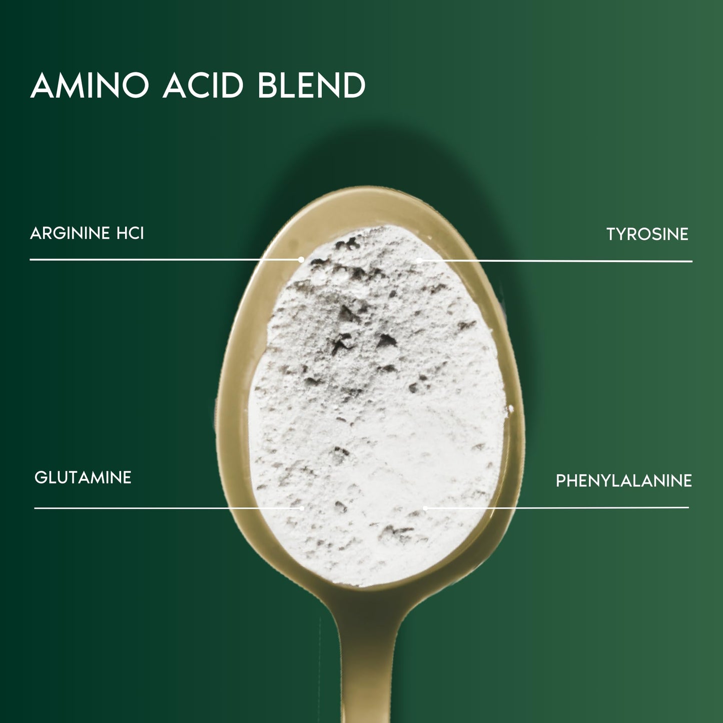 Primal Harvest Creatine Powder Supplement for Men and Women's Fitness, Workouts, and Muscle Growth, to Help Promote Recovery, Strength, Energy, and Endurance (1)