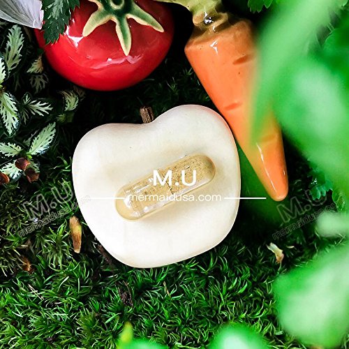 M.U Spleen and Stomach Support-Digestive System- Green Natural and Organic 1 PCS