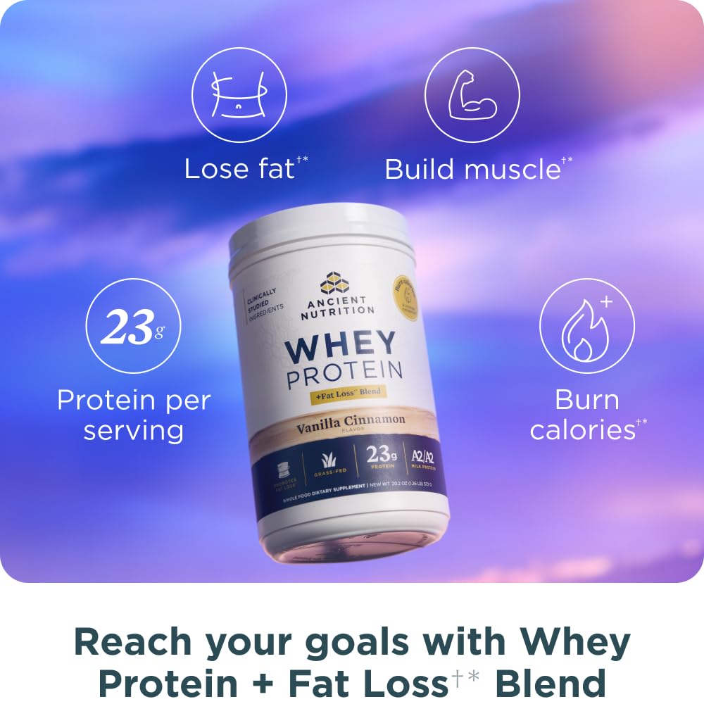 Ancient Nutrition Grass Fed Whey Protein + Fat Loss Blend, Vanilla Cinnamon, 23g Protein, Promotes Fat Loss and Boost Metabolism, Organic Regenerative A2/A2 Milk Protein,18 Servings