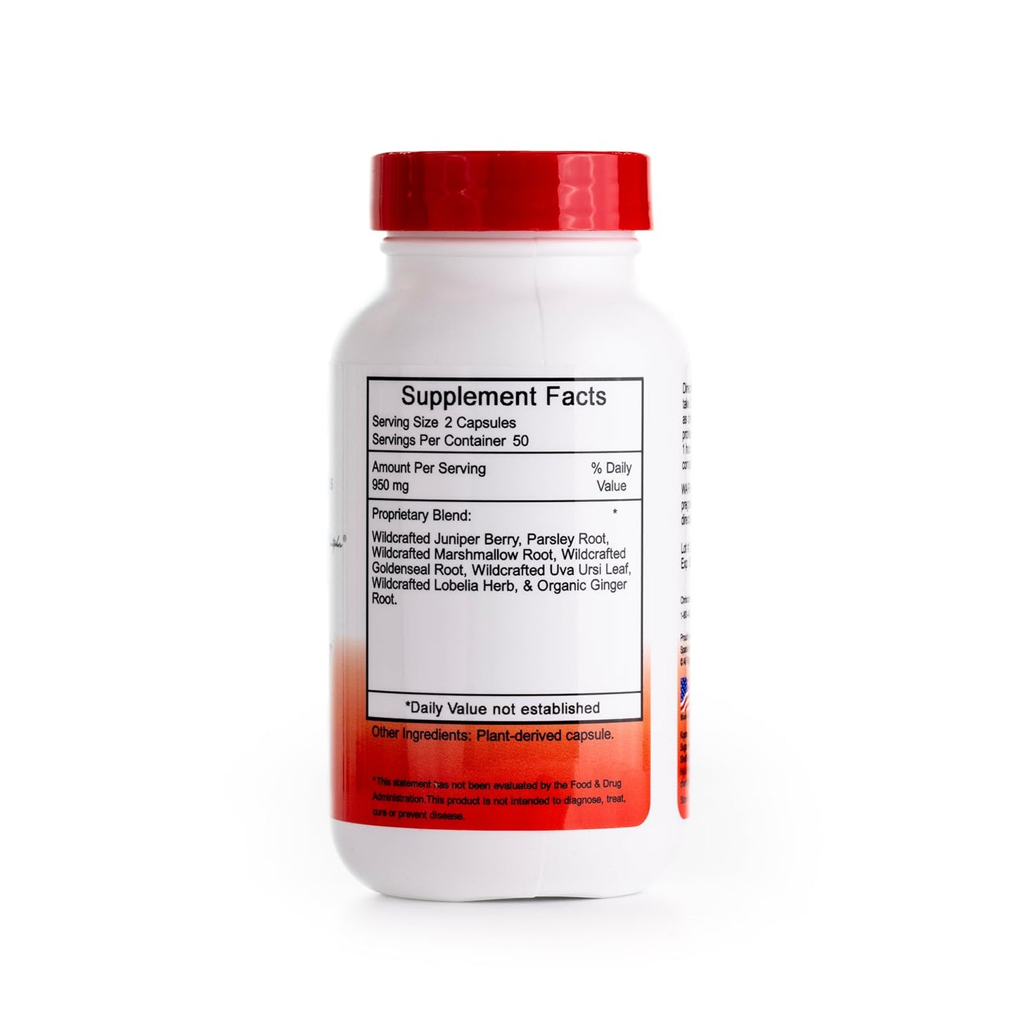Christopher's Original Formulas Kidney Formula - Kidney Cleanse Detox & Repair Formula - Herbal Blend for Kidney Support