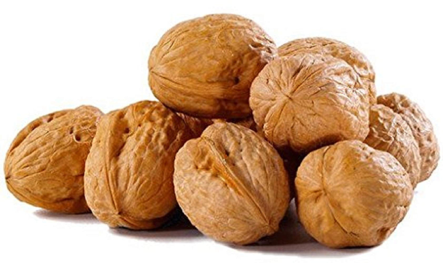 In Shell Walnuts 2 Lbs  Large Natural California Walnuts  Great Source of Omega 3  Fresh New Crop  Bursting with Flavor  Farm Fresh Nuts Brand