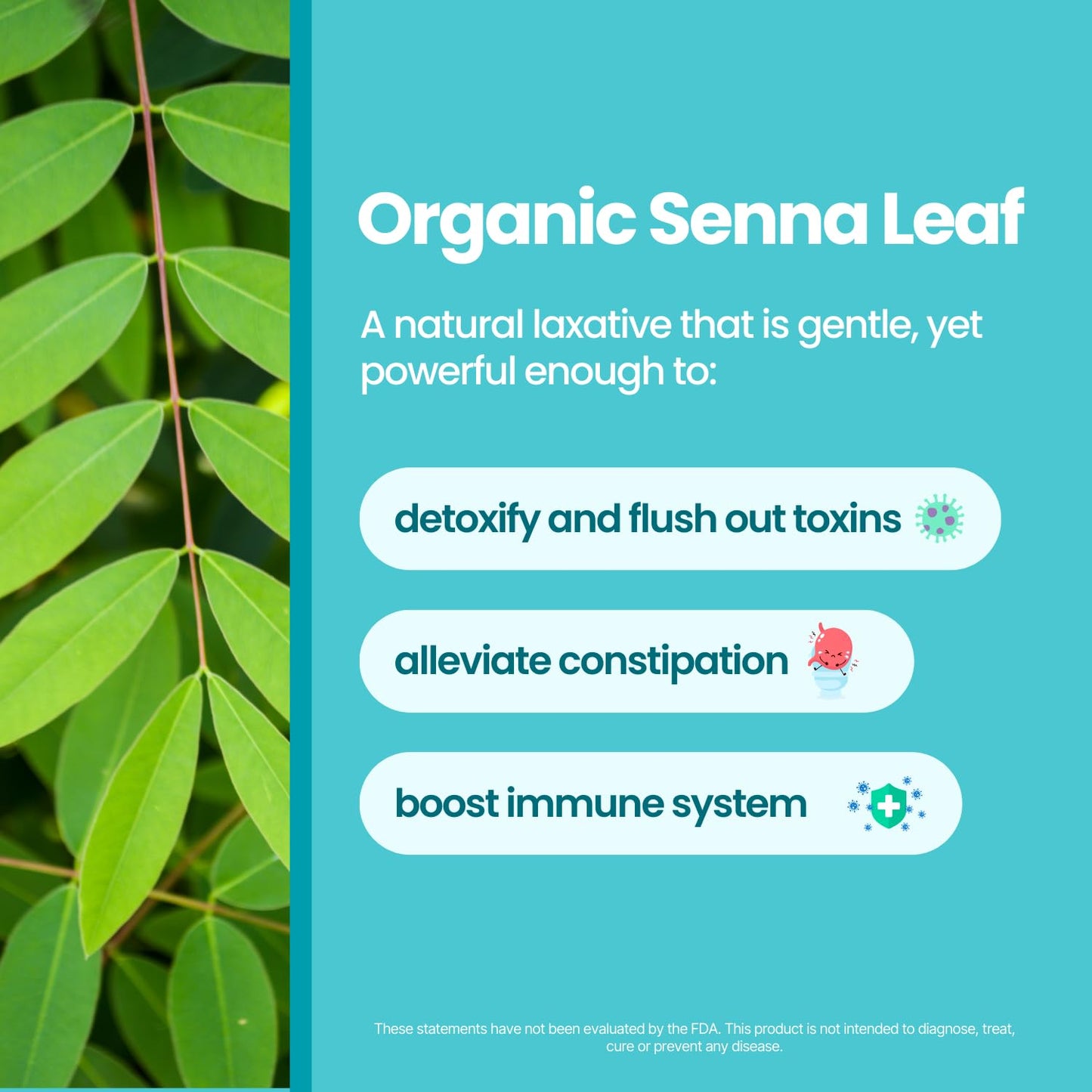 VoomVaya TeaTox Booster Senna Tea - 14-Day Detox Tea for Bloating Relief, Detox Cleanse, Mood Boost - Hibiscus Flavor
