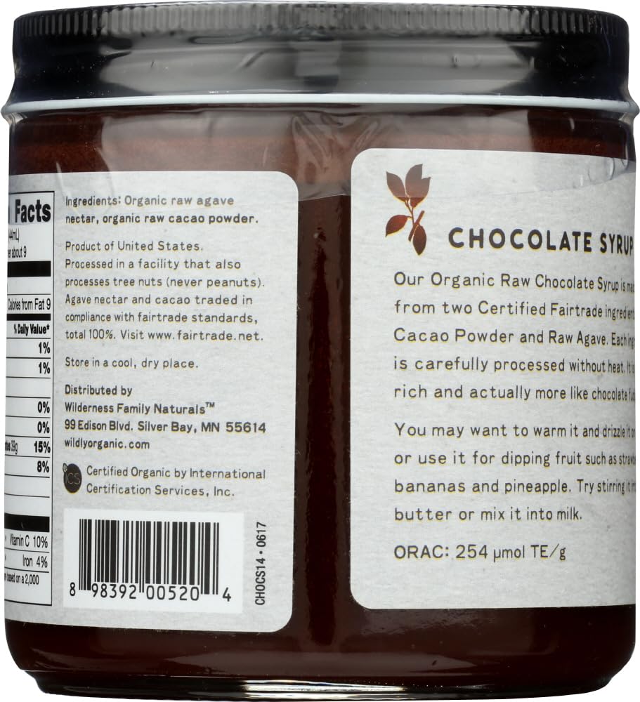 WILDERNESS PRODUCTS Syrup Chocolate Pack of 6 Size 20 OZ Gluten Free GMO Free Kosher Vegan Wheat Free Yeast Free 95 Organic