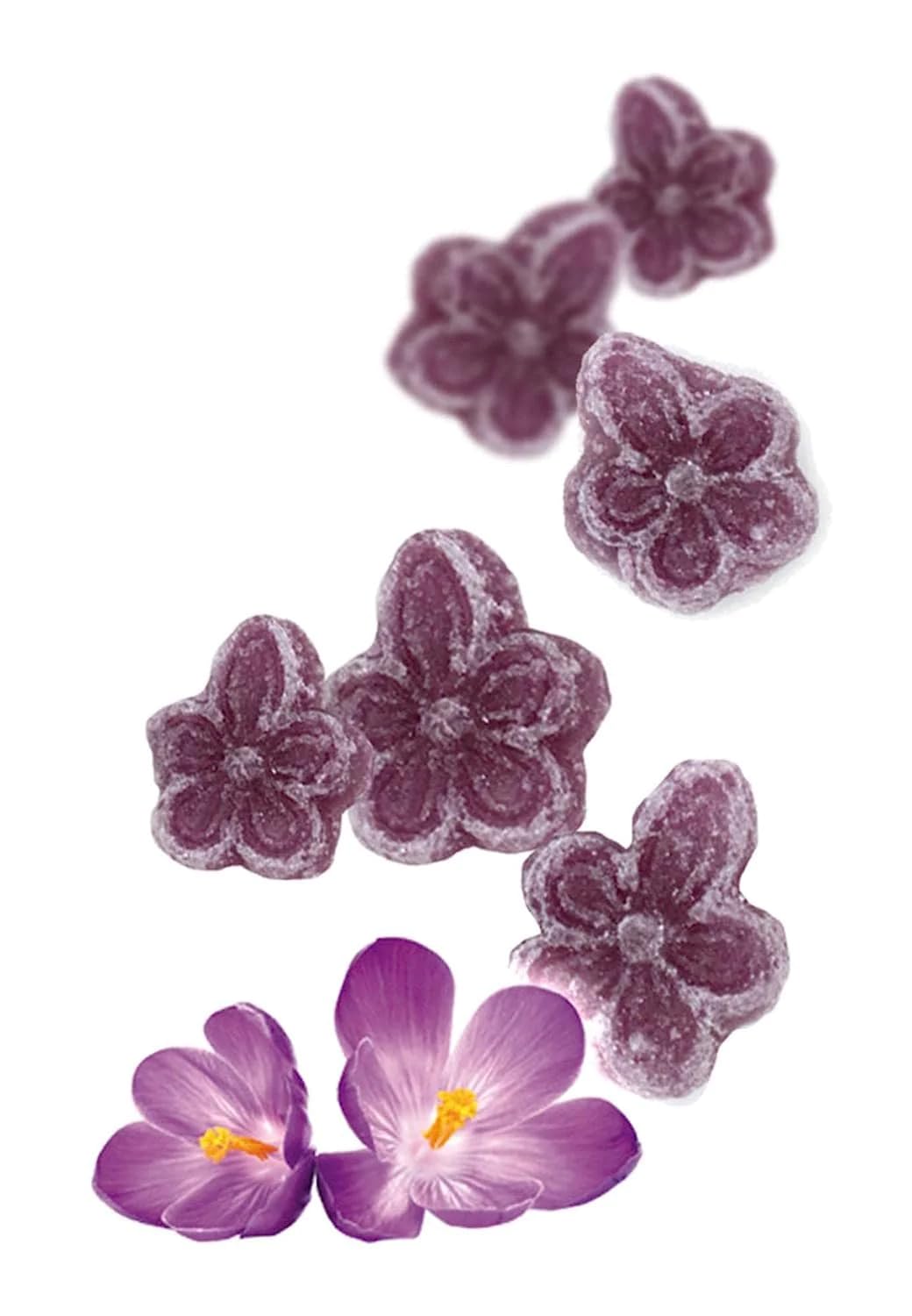 Andy Anand 50PC Sugar Free Violets A Typical Old Candy Dragée Shaped Like A Flower Of Five Petals Made With The Essence Of Violet And Sweetened With Stevia