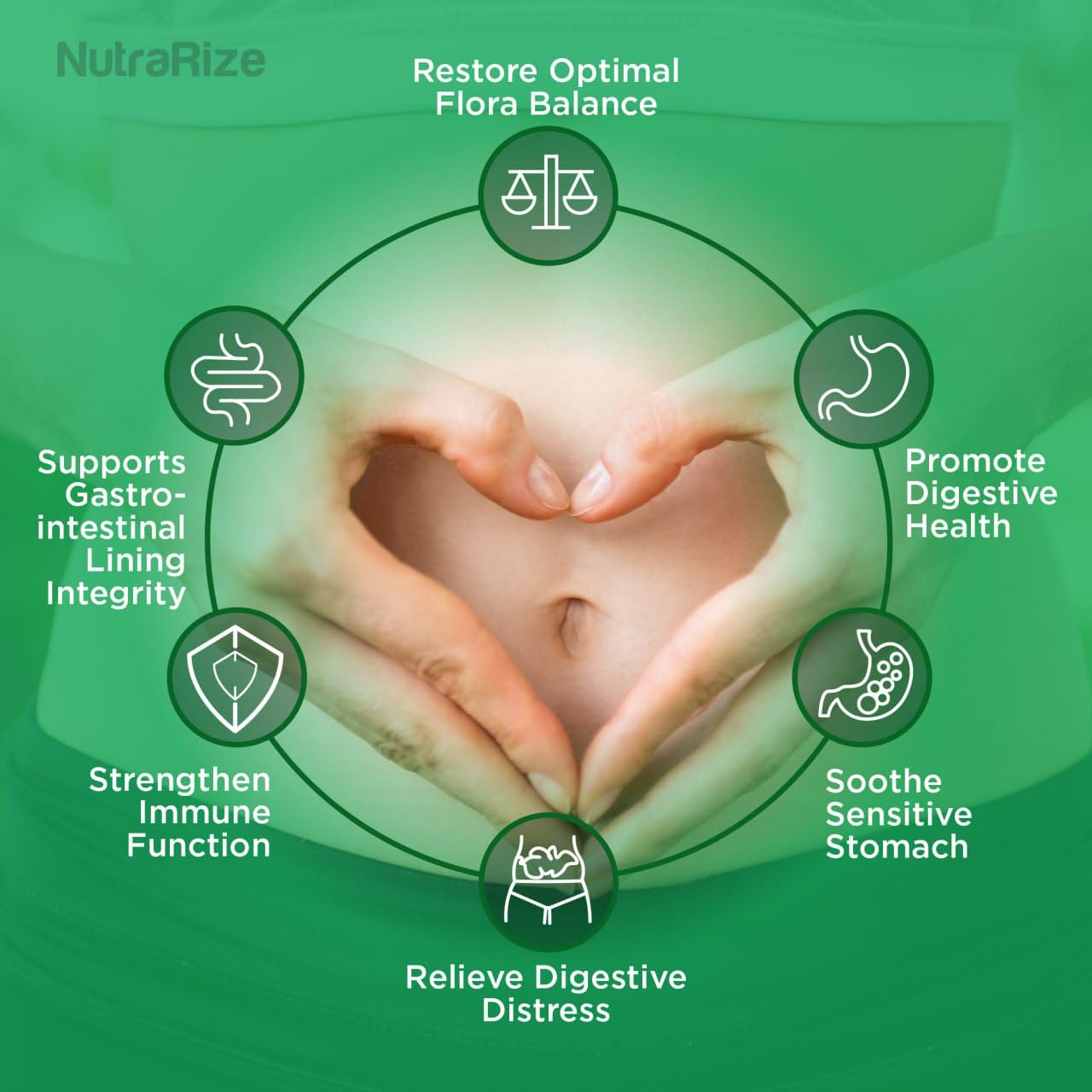 GI Revitalize Capsules - GI Revitalize Pro Pills to Support Healthy Digestion, GI Revitalized Advanced Formula for Gut Health, G I Revitalizer Maximum Strength Supplement Reviews (60 Capsules)