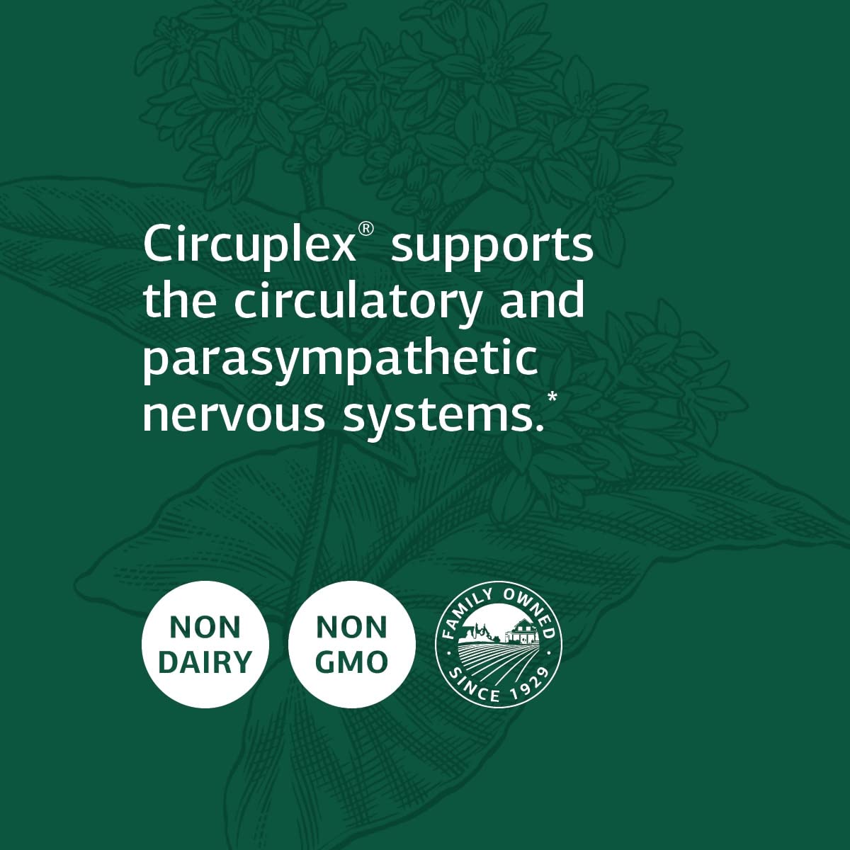 Standard Process Inc. Circuplex - Whole-Food Based RNA, Nervous System, Vascular & Blood Circulation Supplement with Phosphoric Acid, Soy Protein, Niacin - 150 Capsules