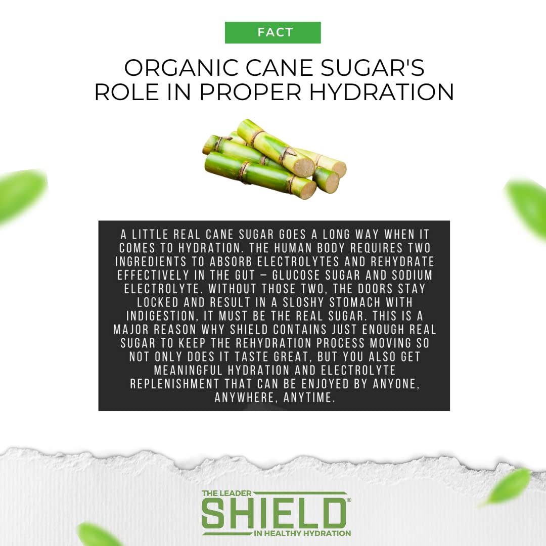 SHIELD 32ct ALL NATURAL Low Cal Electrolyte Healthy Hydration Multiplier Powder Packets, Eco-Friendly Pouch, Water Booster Drink Mix for Rapid Dehydration Relief and prevention, Vegan, Non-GMO