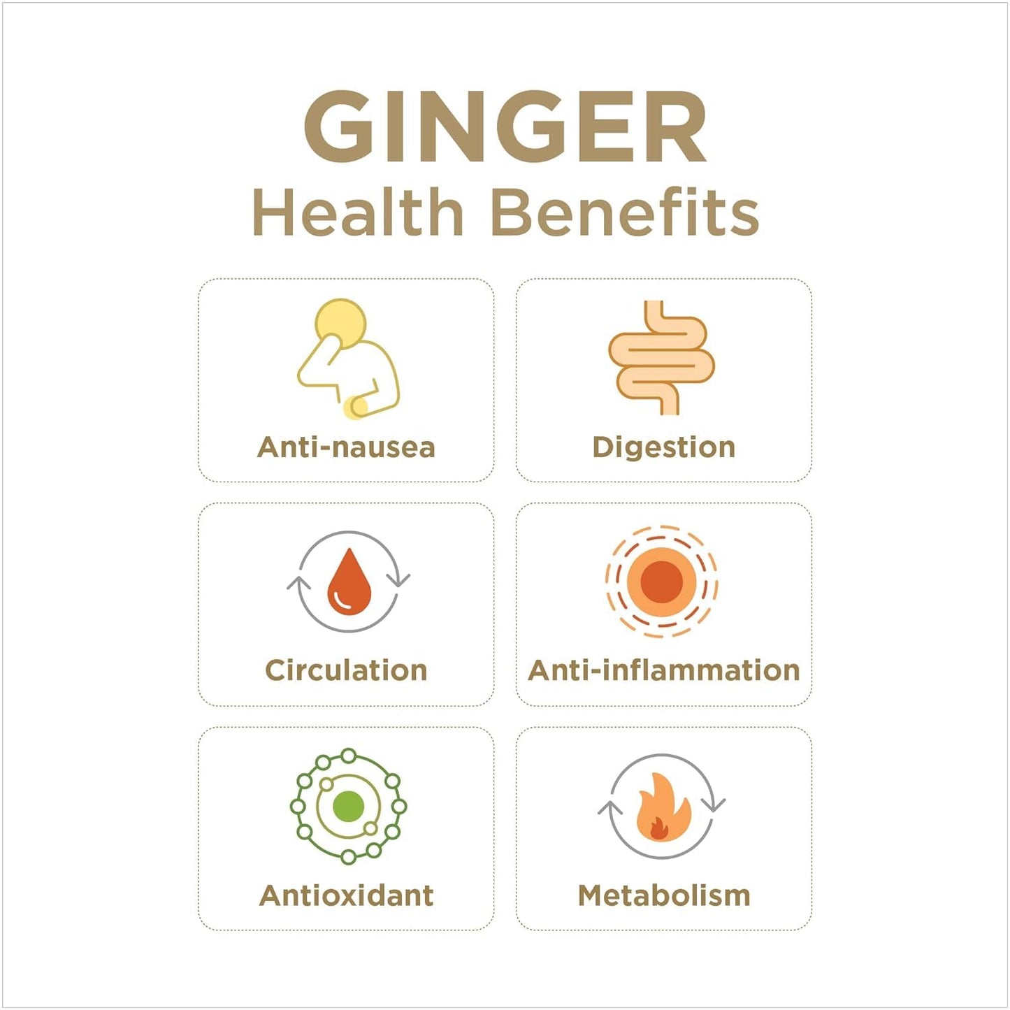Fiji Ginger Juice by The Ginger People 8 oz Glass Bottle Pack of 1