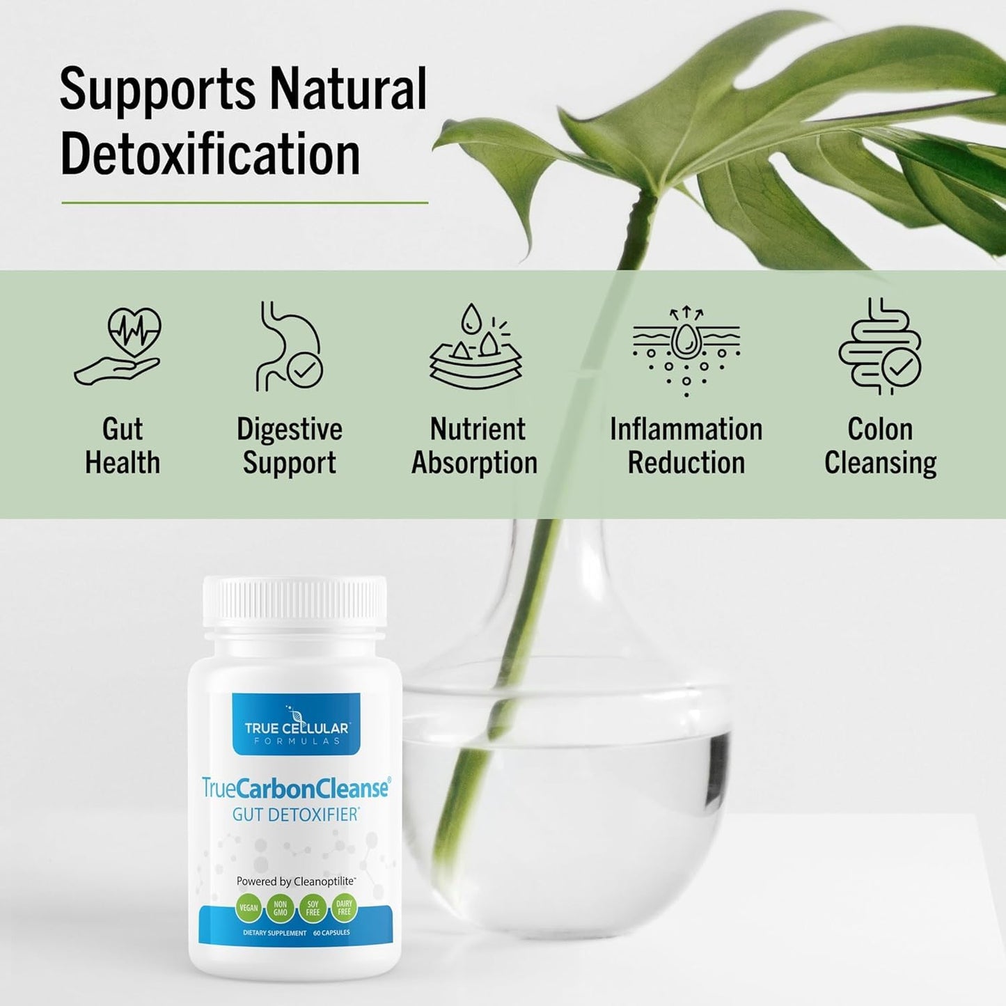 TrueCarbonCleanse™ - Perfect Gut Detoxifier & Binder - Advanced Formula with Organic Bamboo Activated Charcoal Capsules - 60 Capsules - Vegan, Non GMO, Gluten Free, Soy Free, Non-Toxic Certified