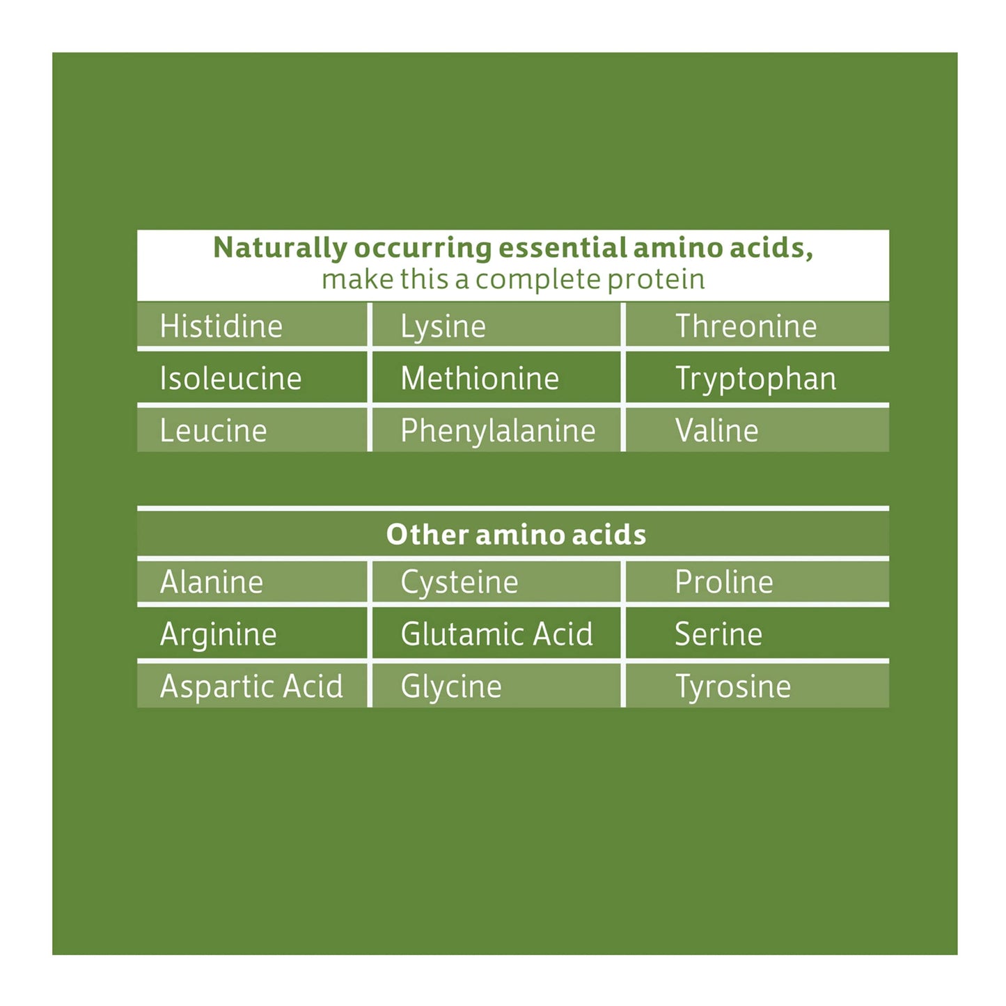 Biochem, Vegan Protein Powder, 20g of Plant-Based Protein to Support Muscles, Chocolate, 13.6 oz