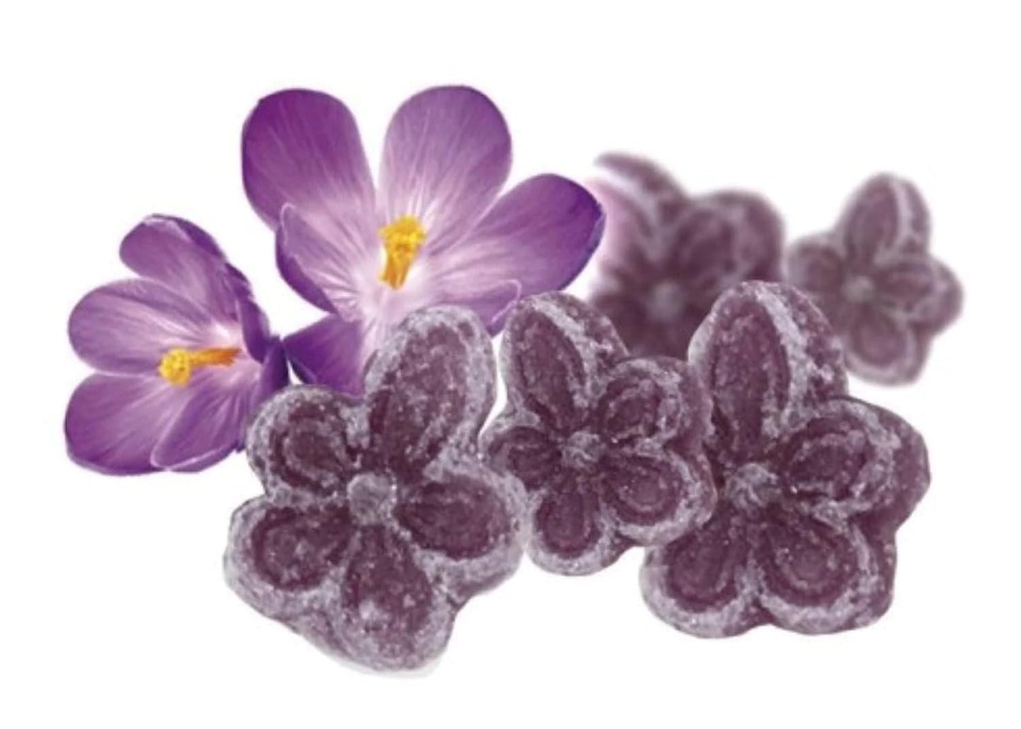 Andy Anand 50PC Sugar Free Violets A Typical Old Candy Dragée Shaped Like A Flower Of Five Petals Made With The Essence Of Violet And Sweetened With Stevia
