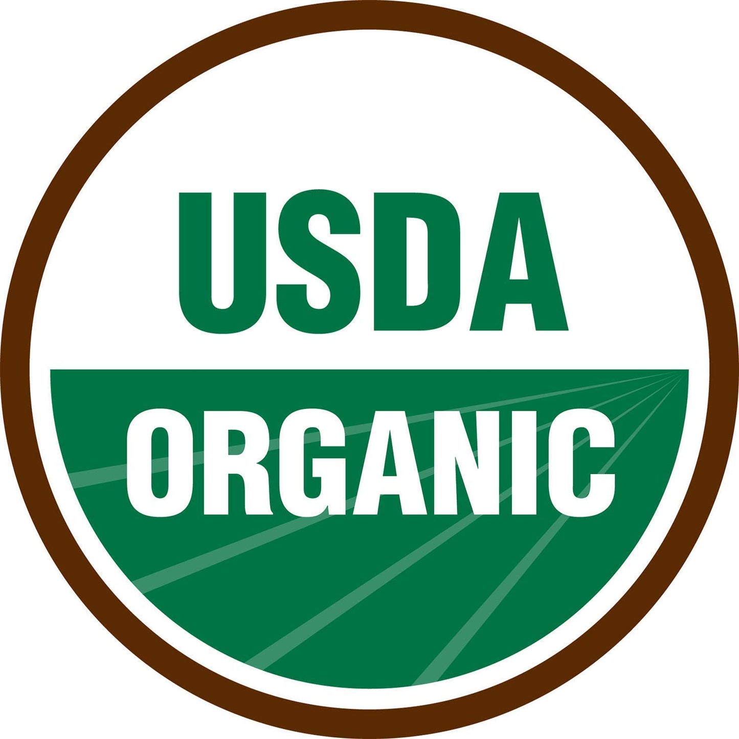 Terrasoul Superfoods Raw Organic Walnuts 16 Oz  Chandler Variety  Fresh  Light Color