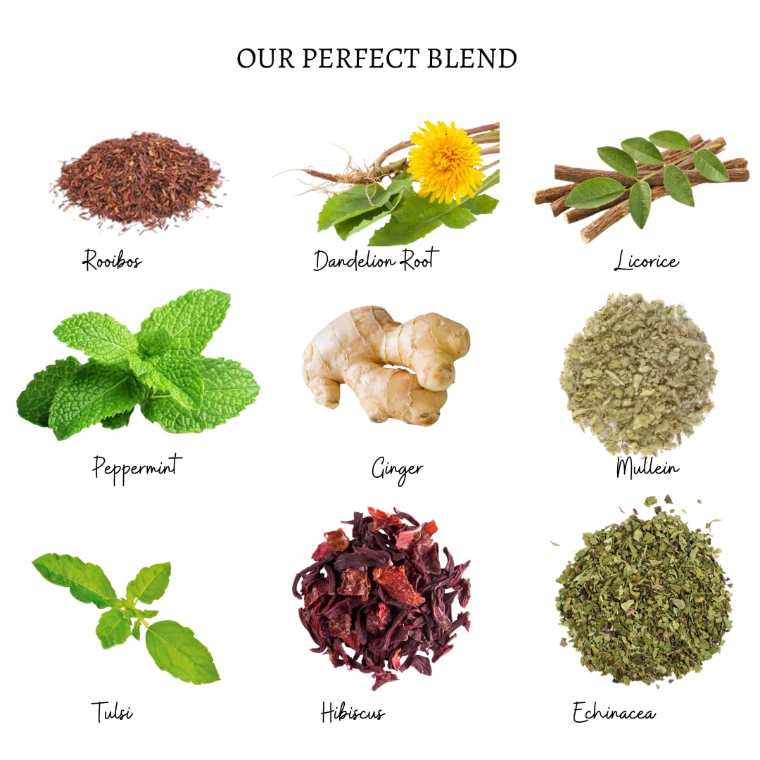 Daily Detox Cleanser - Peppermint, Dandelion Root, Ginger, Tulsi, Rooibos, Licorice, Hibiscus, Echinacea, Mullein - 100% Organic Herbs - No Additive