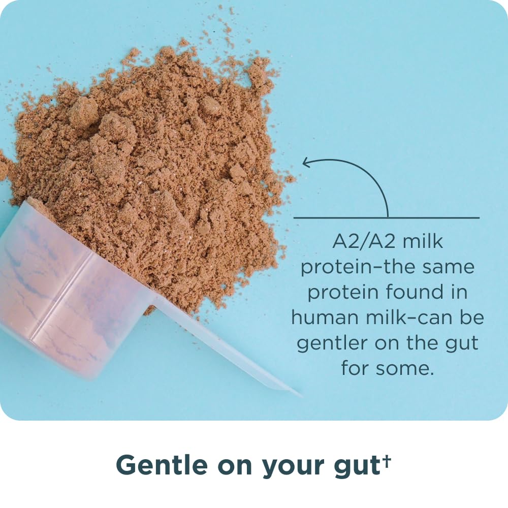 Ancient Nutrition Grass Fed Whey Protein, Milk Chocolate, 23g Protein, 20 Servings, Hydrolyzed Collagen Peptides, Organic Regenerative A2/A2 Milk Protein