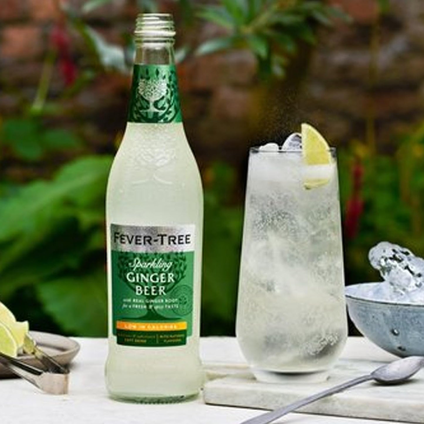 Fever Tree Premium Ginger Ale  Premium Quality Mixer and Soda  Refreshing Beverage for Cocktails  Mocktails 200ml Bottle  Pack of 15