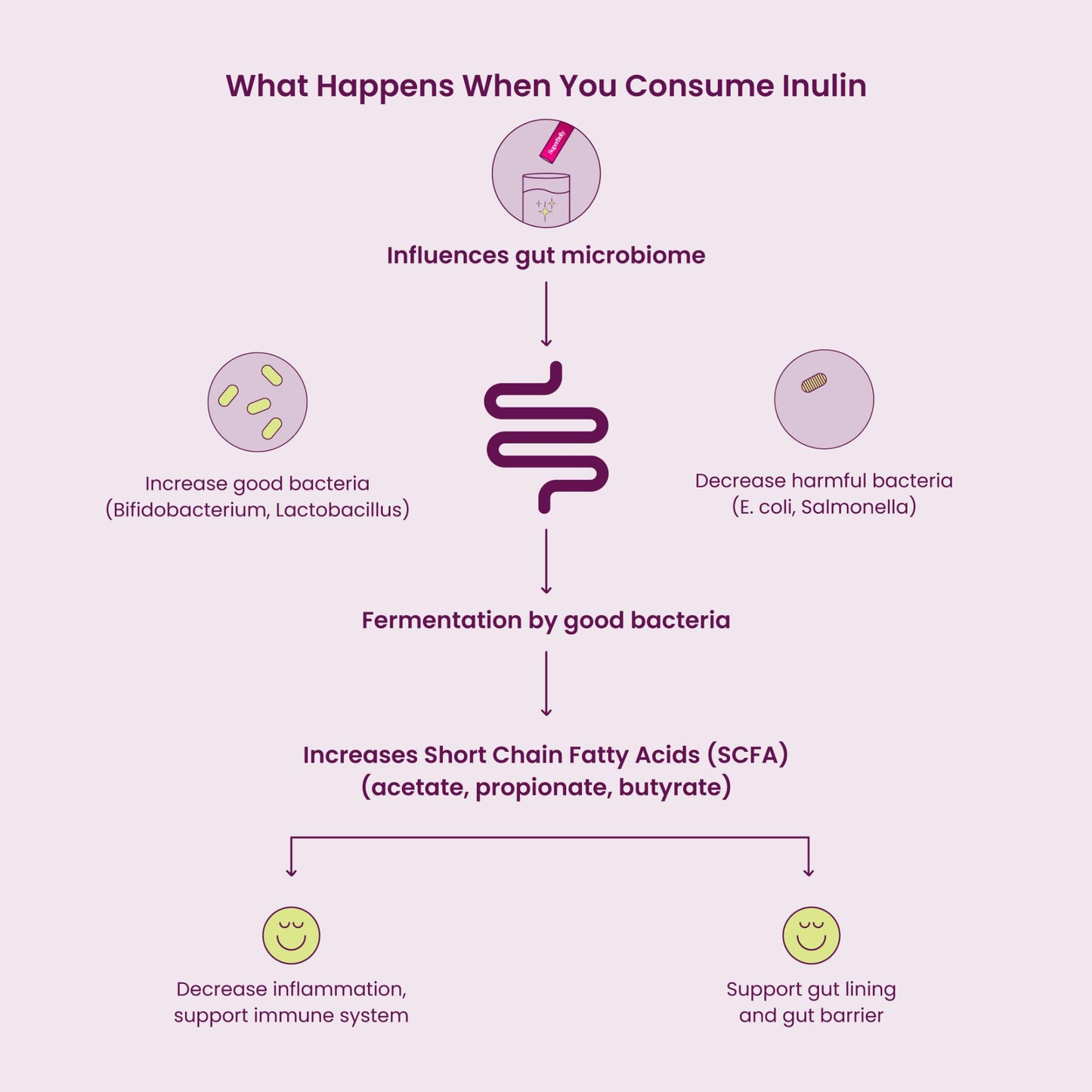 Blume SuperBelly Gut Health and OnTheGo Hydration Packets SugarFree with Prebiotics Probiotics Apple Cider Vinegar Vitamin C and Electrolytes Strawberry Hibiscus 15 Sticks